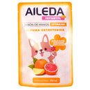 AILEDA 儿童花朵泡沫洗手液补充装 橙子果香宝宝泡泡洗手液替换装 250ml / 袋